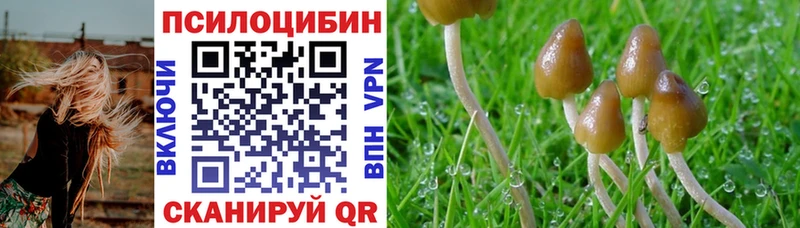 Галлюциногенные грибы ЛСД купить цена Белоозёрский